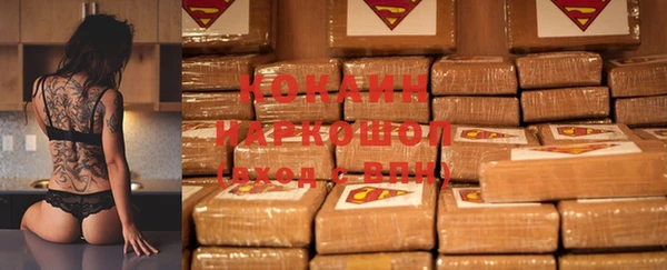 шишки Алексин