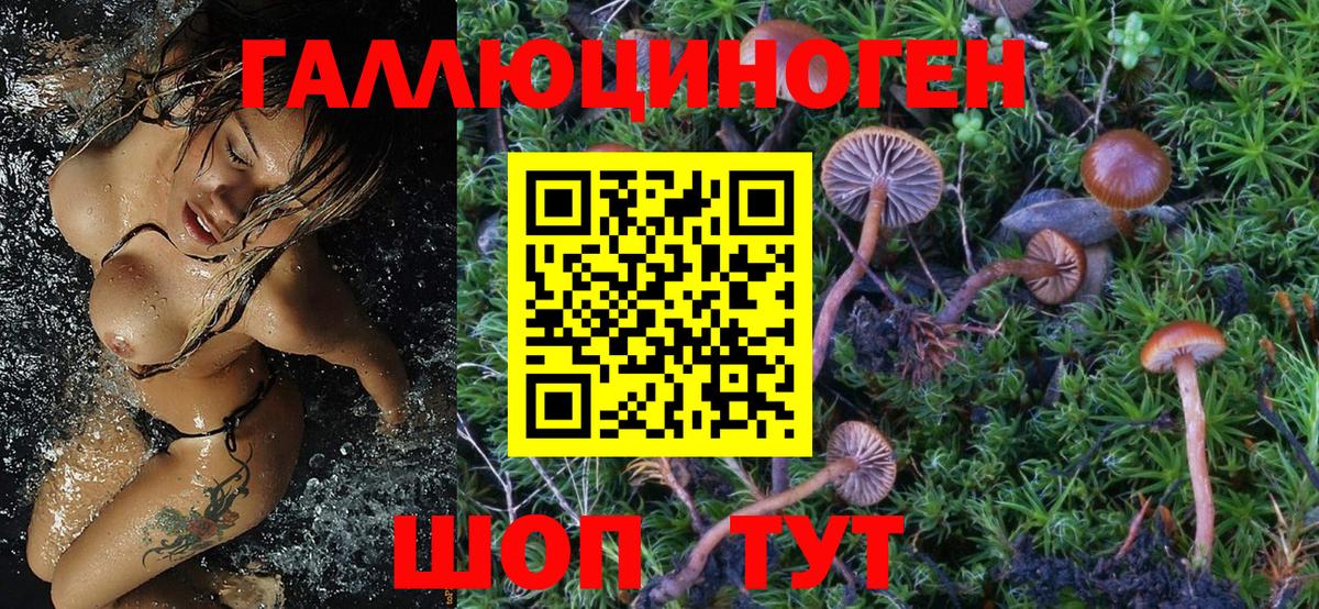 Галлюциногенные грибы Psilocybine cubensis  Вход с VPN  Коряжма 