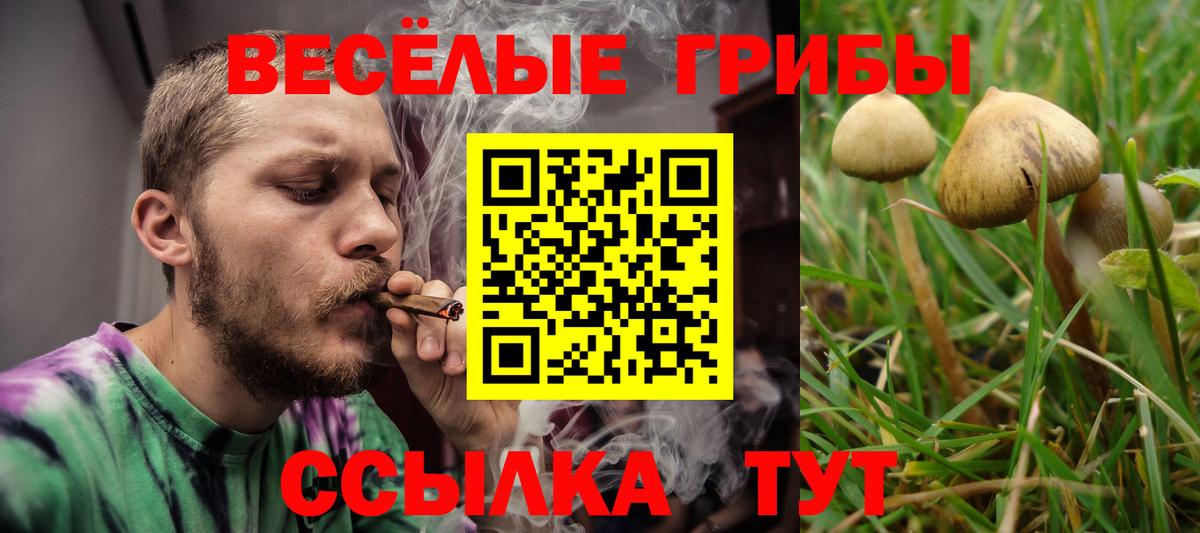Галлюциногенные грибы MAGIC MUSHROOMS Коряжма