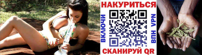Конопля гибрид  Коряжма 